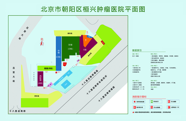 寂寞操逼网北京市朝阳区桓兴肿瘤医院平面图